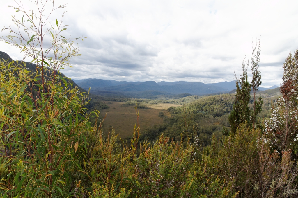 18 - Donaghys Hill (2).jpg